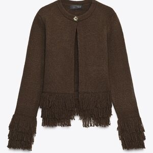 Zara Size L Brown Fringe Women's Sweater